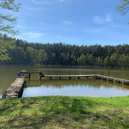 Igły I Szyszki Zimna Woda (Szczytno County)